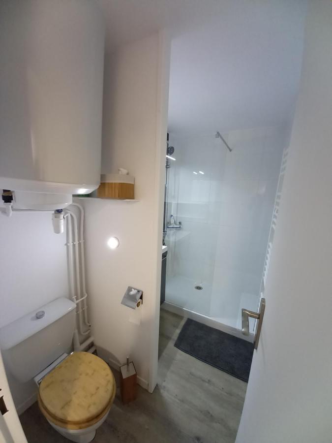 Appartement Cabine St-Lary-Soulan, Calme, Entierement Renove Saint-Lary-Soulan Εξωτερικό φωτογραφία